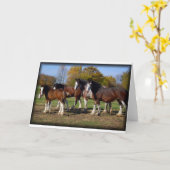 clydesdale Gruppe Karte (Gelbe Blume)