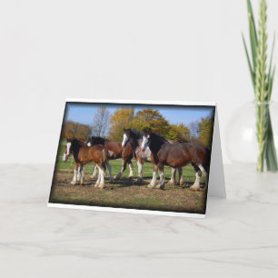 clydesdale Gruppe Karte