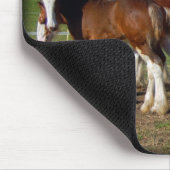 clydesdale Gruppe Mousepad (Ecke)