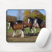clydesdale Gruppe Mousepad (Mit Mouse)