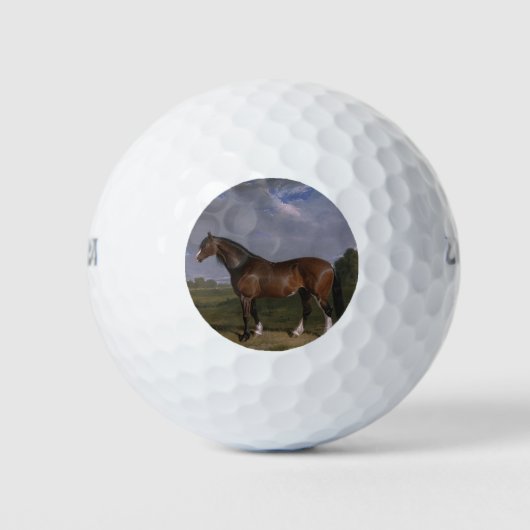 Clydesdale Hengst (Vollblutpferd) (Tier) Golfball (Vorderseite)