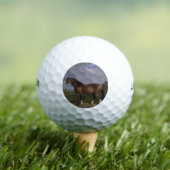 Clydesdale Hengst (Vollblutpferd) (Tier) Golfball (Insitu T-Shirt)
