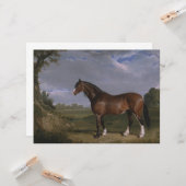 Clydesdale Hengst (Vollblutpferd) (Tier) Karte (Vorderseite/Rückseite Beispiel)