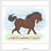 Clydesdale Horse Educational Equine Anatomic Aufkleber (Blatt)