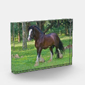 Clydesdale Horse Fotoblock (Links)