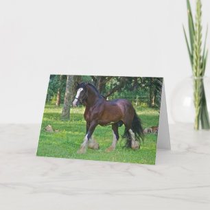 Clydesdale Horse Karte