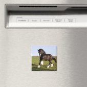 Clydesdale Horse Magnet (In Situ (Geschirrspüler))