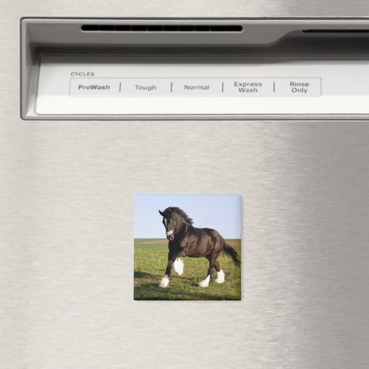 Clydesdale Horse Magnet (In Situ (Geschirrspüler))