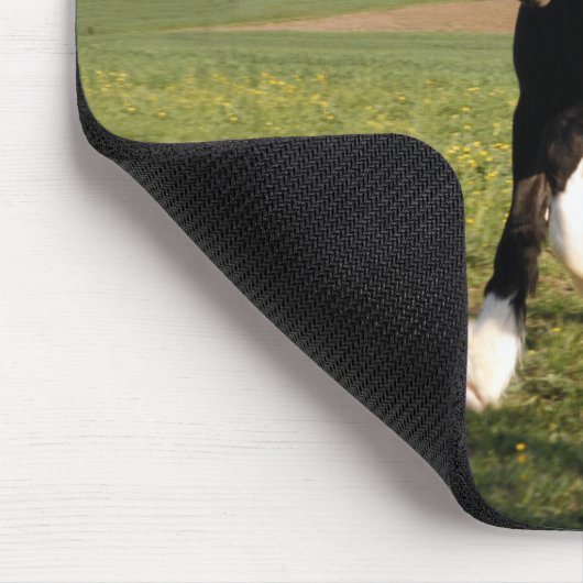 Clydesdale Horse Mousepad (Ecke)