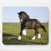 Clydesdale Horse Mousepad (Vorne)