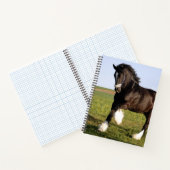 Clydesdale Horse Notizblock (Innenseite)