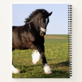 Clydesdale Horse Notizblock (Rückseite)