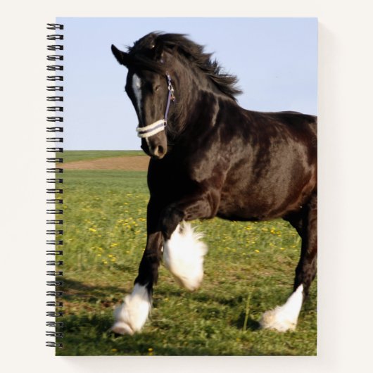 Clydesdale Horse Notizblock (Vorderseite)