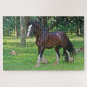 Clydesdale Horse Puzzle (Horizontal)