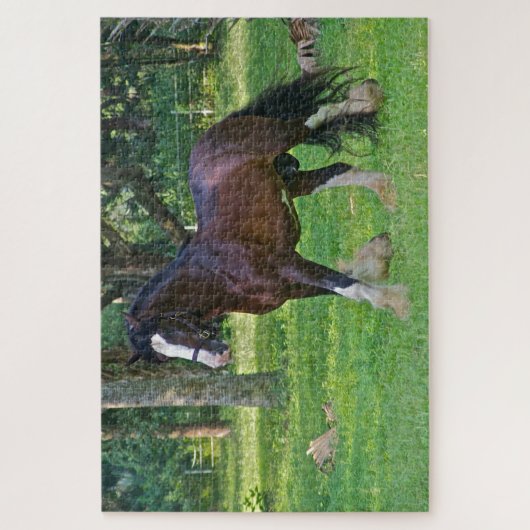 Clydesdale Horse Puzzle (Vertikal)
