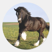 Clydesdale Horse Runder Aufkleber (Vorderseite)