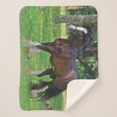 Clydesdale Horse Sherpadecke (Vorderseite)