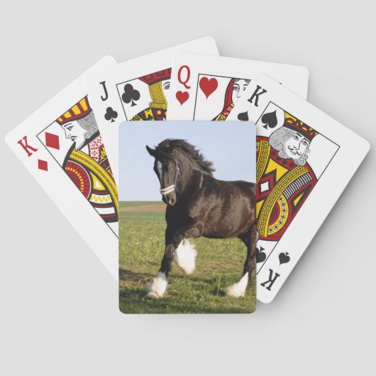 Clydesdale Horse Spielkarten (Rückseite)