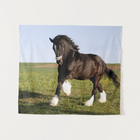 Clydesdale Horse Wandteppich (Vorderseite (Horizontal))