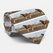clydesdale krawatte (Gerollt)