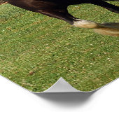 Clydesdale-Laufdruck Poster (Ecke)