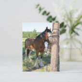 Clydesdale Mama und Baby Postkarte (Stehend Vorderseite)