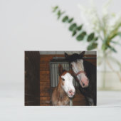Clydesdale mare und filmisch postkarte (Stehend Vorderseite)