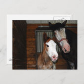Clydesdale mare und filmisch postkarte (Vorne/Hinten)