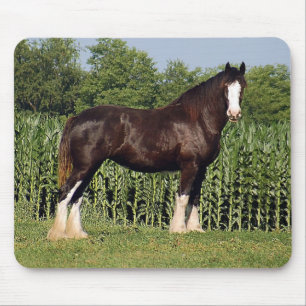 Clydesdale Mausunterlage Mousepad