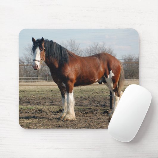 Clydesdale mousepad (Mit Mouse)