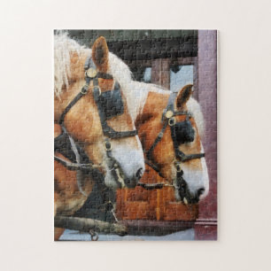 Clydesdale Nahaufnahme Puzzle