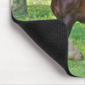 Clydesdale-Pferd Mousepad (Ecke)