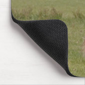 Clydesdale Pferde auf einem Feld, Northumberland, Mousepad (Ecke)