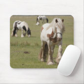 Clydesdale Pferde auf einem Feld, Northumberland, Mousepad (Mit Mouse)