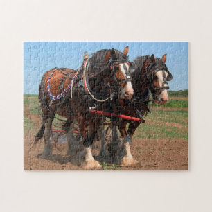 Clydesdale-Pferde beim Pflügen. Puzzle