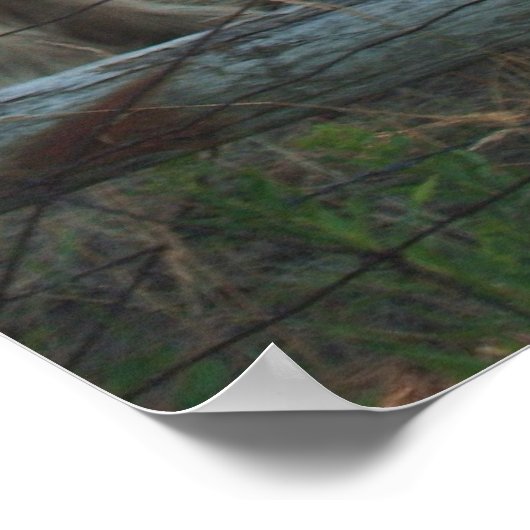 Clydesdale Pferde Poster (Ecke)