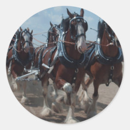 Clydesdale Pferde Runder Aufkleber
