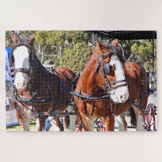Clydesdale Pferde, um die Kutsche zu ziehen Puzzle (Horizontal)