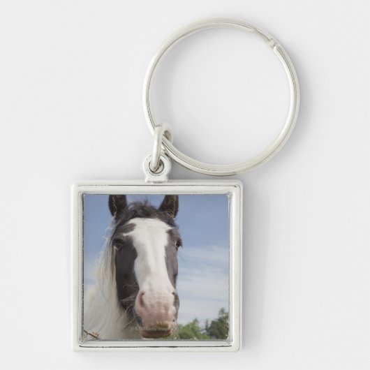 Clydesdale Pferdeporträt Schlüsselanhänger (Vorne)