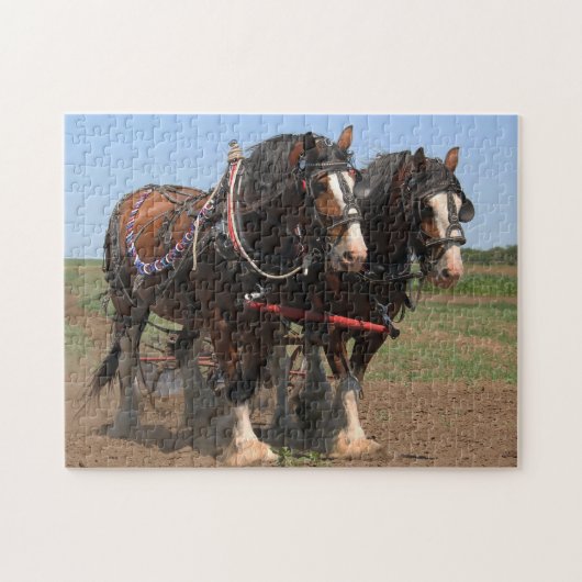 Clydesdale Pflüge Pferde. Puzzle (Horizontal)