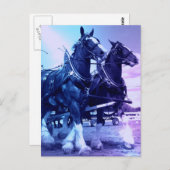 Clydesdale Postcard Postkarte (Vorne/Hinten)