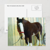Clydesdale Postkarte (Vorne/Hinten)