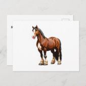 Clydesdale Postkarte (Vorne/Hinten)