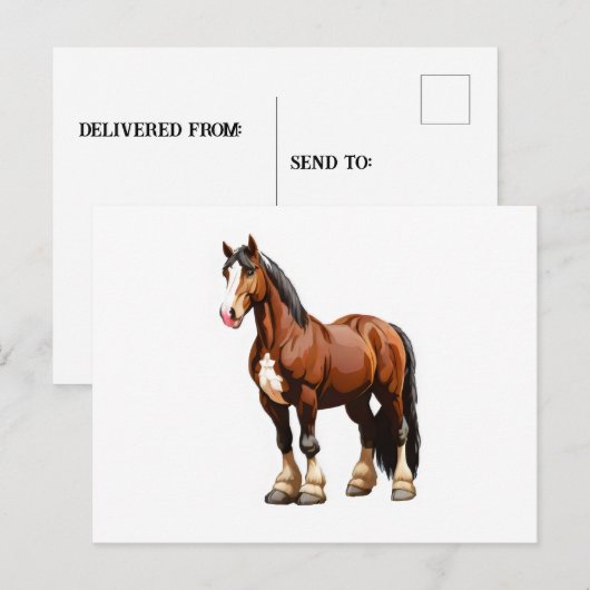 Clydesdale Postkarte (Vorne/Hinten)