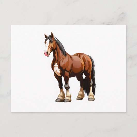 Clydesdale Postkarte (Vorderseite)