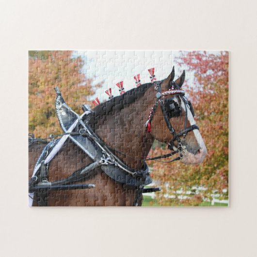 Clydesdale Puzzle (Horizontal)