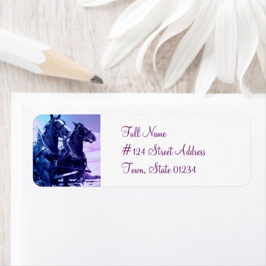 Clydesdale Reitadresse (Insitu)