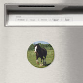 Clydesdale Running Magnet (In Situ (Geschirrspüler))