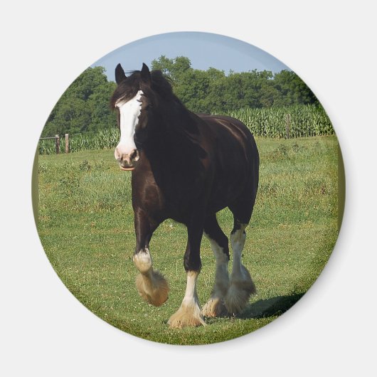 Clydesdale Running Magnet (Vorne)