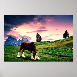 Clydesdale Sonnenuntergang Poster
